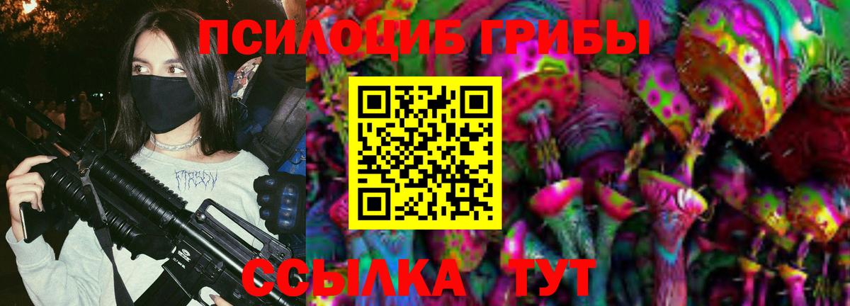 Псилоцибиновые грибы GOLDEN TEACHER Донской
